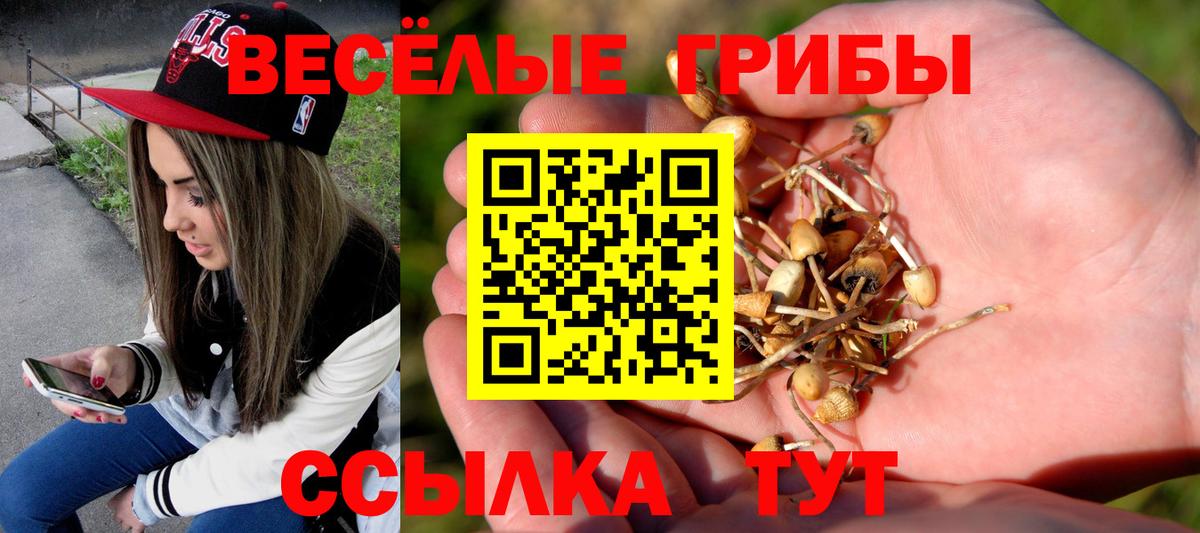 Галлюциногенные грибы Psilocybine cubensis  Вход с VPN  как найти закладки  Москва 