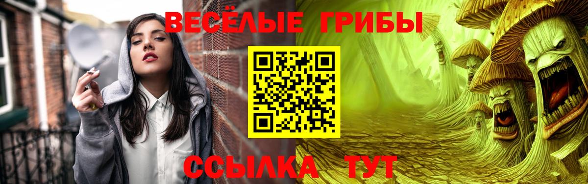 Псилоцибиновые грибы прущие грибы Москва